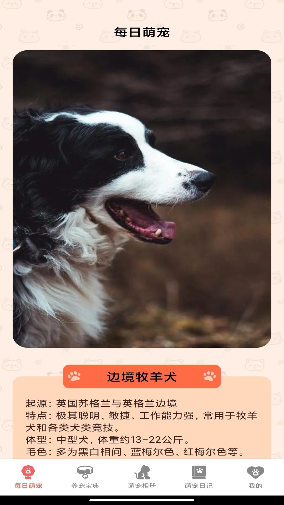 萌宠乐多多截图2