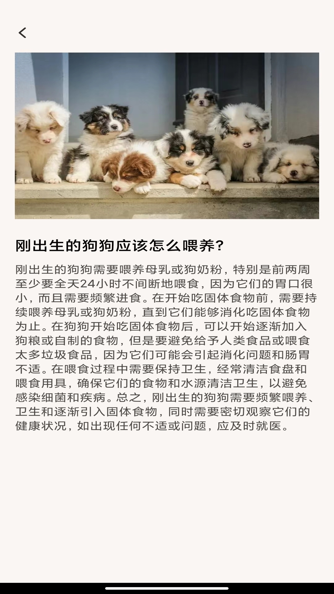 萌宠乐多多截图3