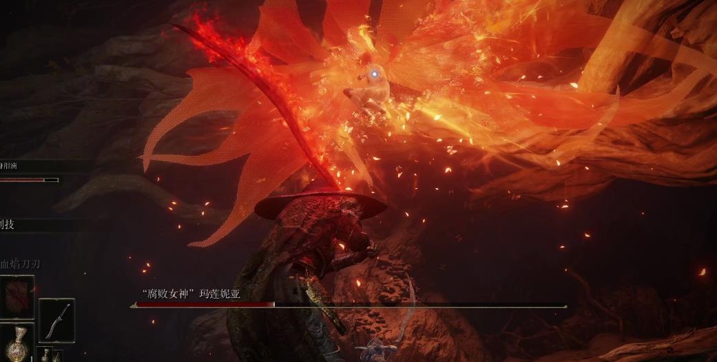 艾尔登法环菲雅是什么人