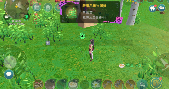 创造与魔法的黄豆在哪些地方分布