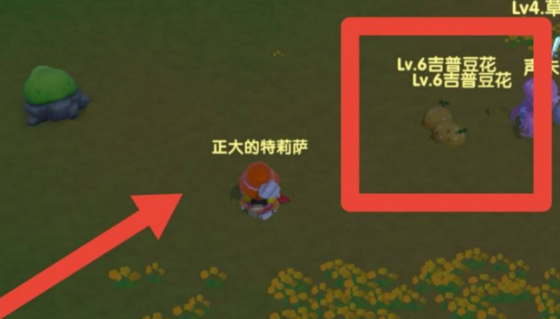 摩尔庄园勇士怎么捕捉宠物