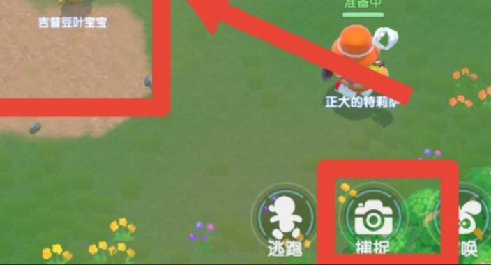 摩尔庄园勇士怎么捕捉宠物