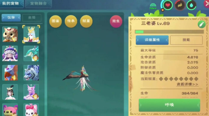 创造与魔法马怎么骑