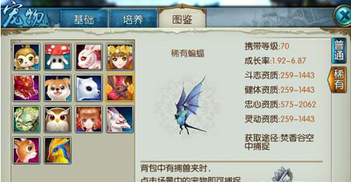 诛仙手游噬血蝙蝠在哪里
