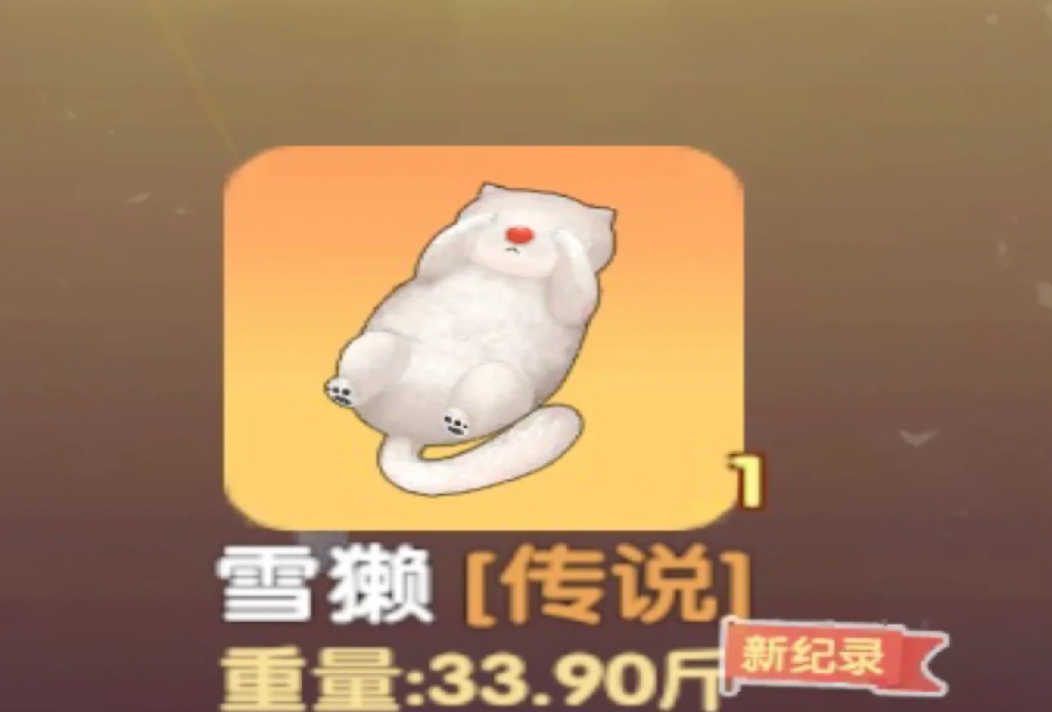 摩尔庄园雪獭多了怎么装修