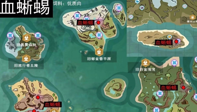 创造与魔法红蜥蜴在哪