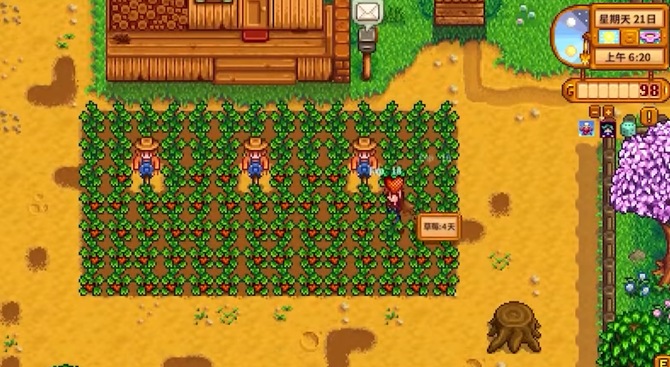 星露谷物语开局玩法有什么