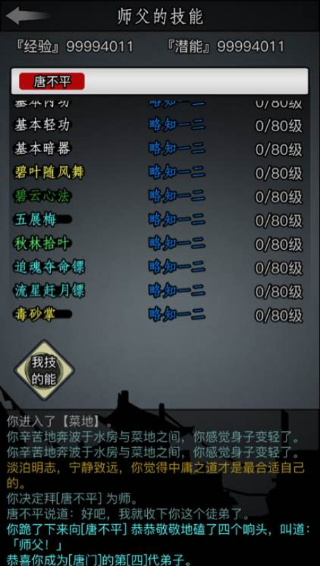 放置江湖华山内功怎么用