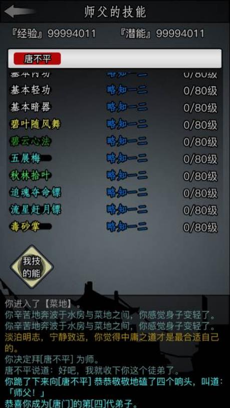 放置江湖华山内功怎么用