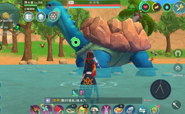 创造与魔法水池龟在哪