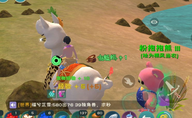 创造与魔法哪里好捡蚯蚓