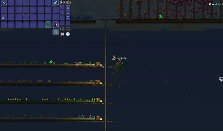 泰拉瑞亚丛林草种子怎么获得