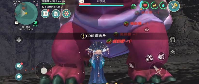 创造与魔法35级宠物捉什么好 创造与魔法35级宠物捉什么好