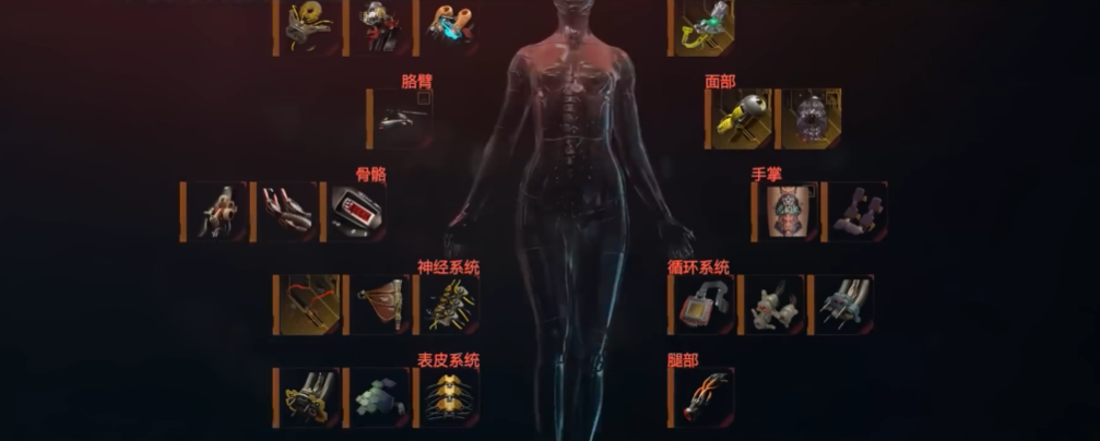 赛博朋克2077加点流派推荐什么