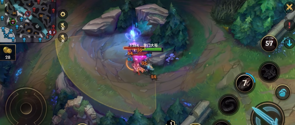 英雄联盟手游龙女一级学什么