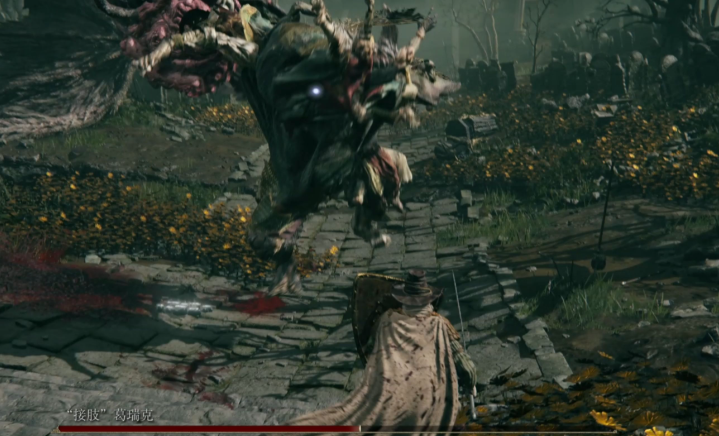 艾尔登法环共有多少boss