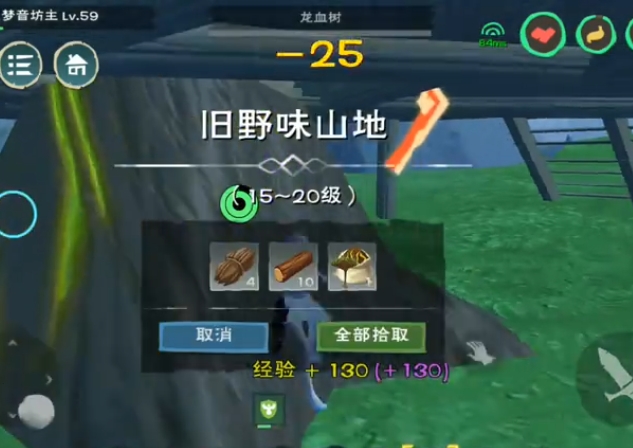 创造与魔法龙血树在哪里