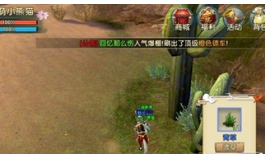 卧虎藏龙2去哪里割青草
