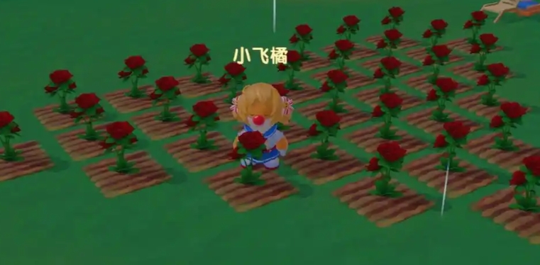 摩尔庄园玫瑰花种子怎么得