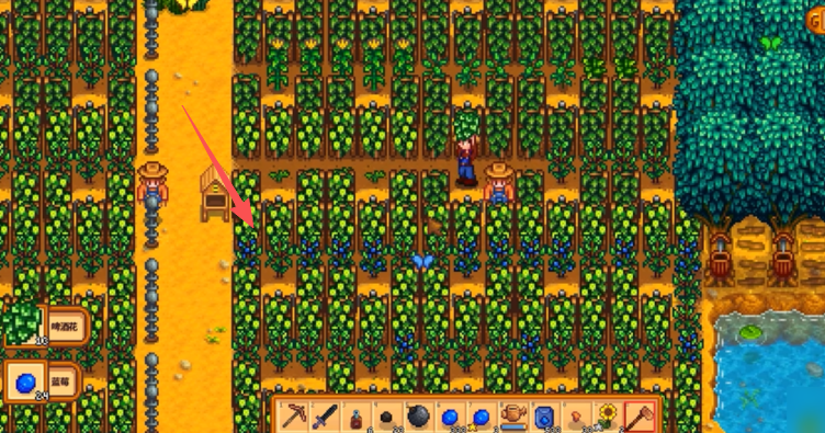 星露谷物语夏天种什么