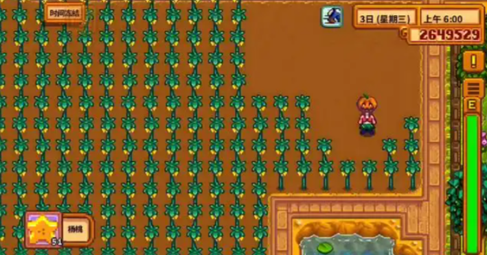 星露谷物语夏天种什么