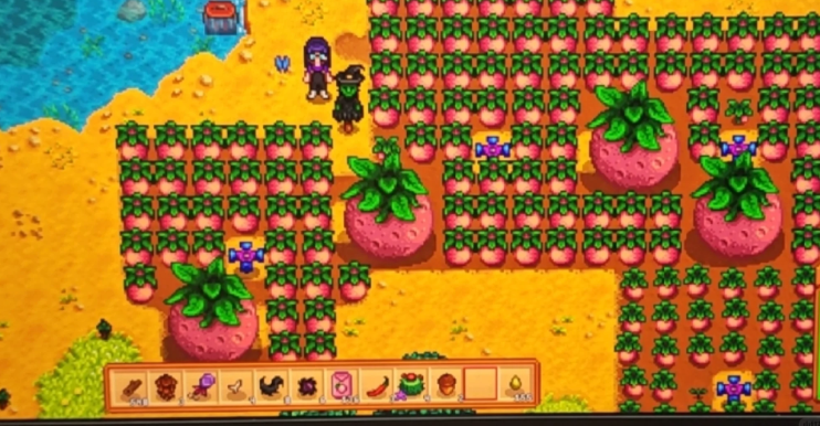 星露谷物语桃子有什么用