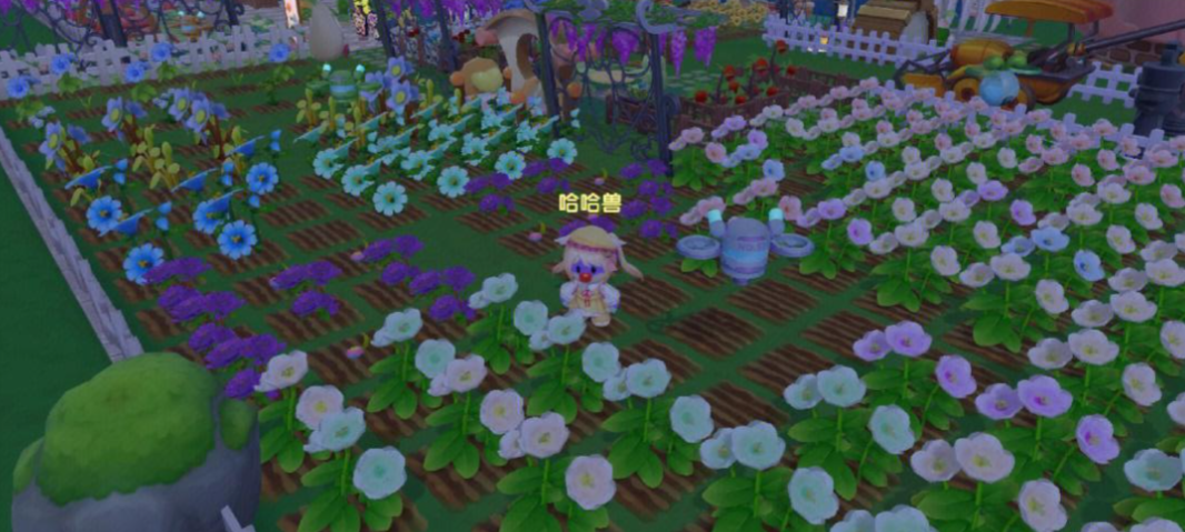 摩尔庄园百合花怎么获得