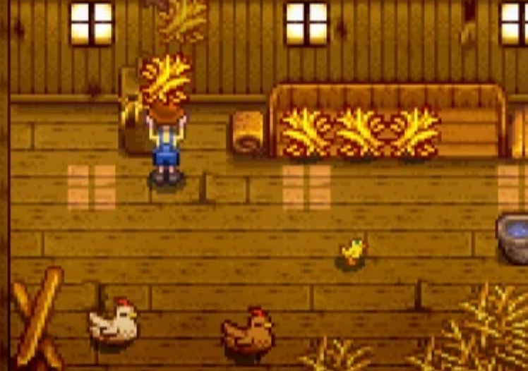 星露谷物语要怎么养鸡