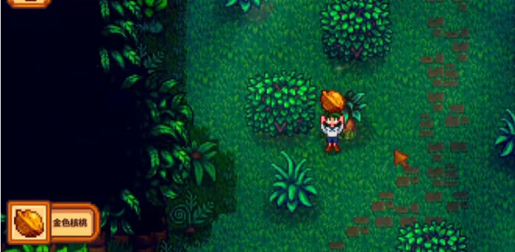 星露谷物语姜岛怎么下雨