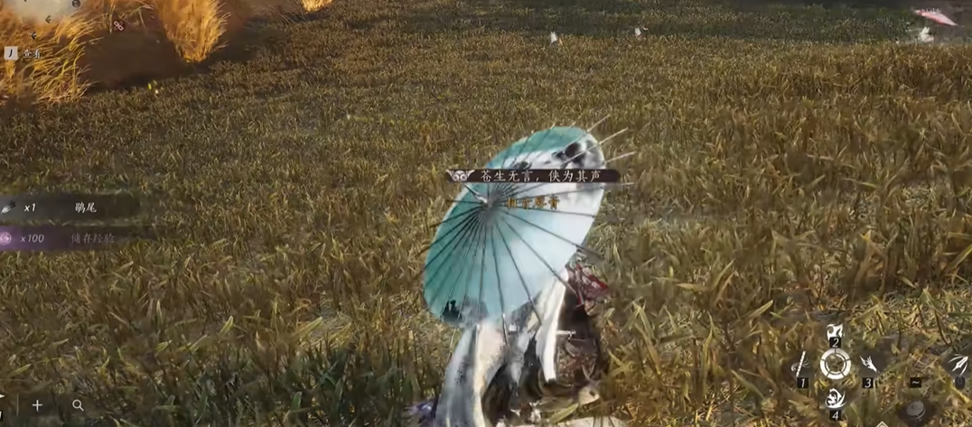 燕云十六声莲花鱼包配方怎么获得